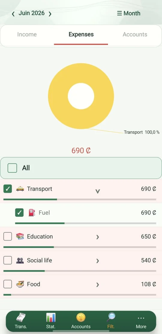 Ougl Budget screenshot 3